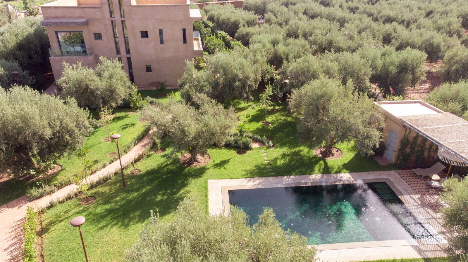 Aerial view of the Dar Amna villa, its pool and olive groves near Marrakech
