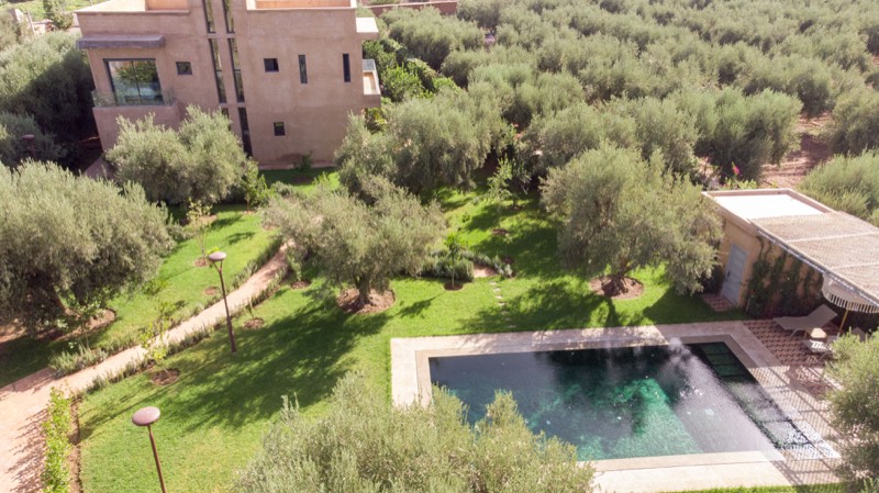 The villa and its olive groves from above
