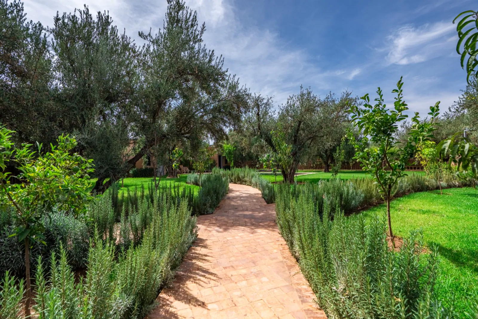 A rosemary-lined path